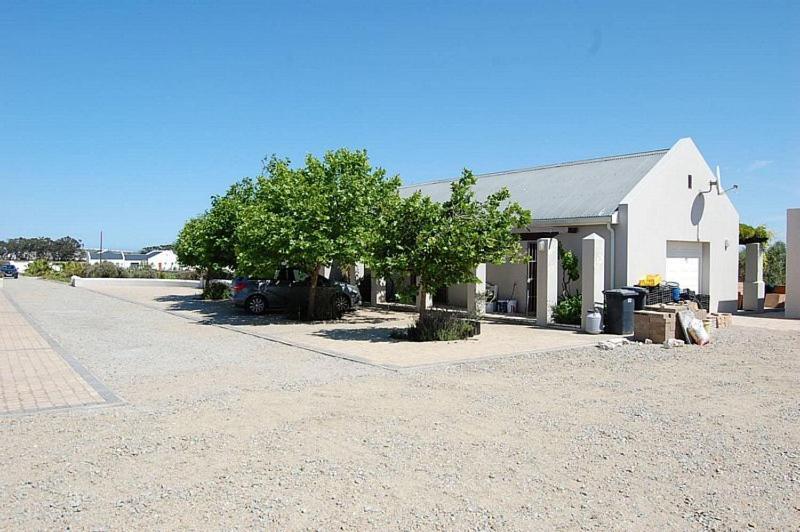 בית הארחה לאנגבאן 	Longacre Olive & Vineyard Estate מראה חיצוני תמונה
