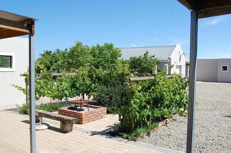בית הארחה לאנגבאן 	Longacre Olive & Vineyard Estate מראה חיצוני תמונה