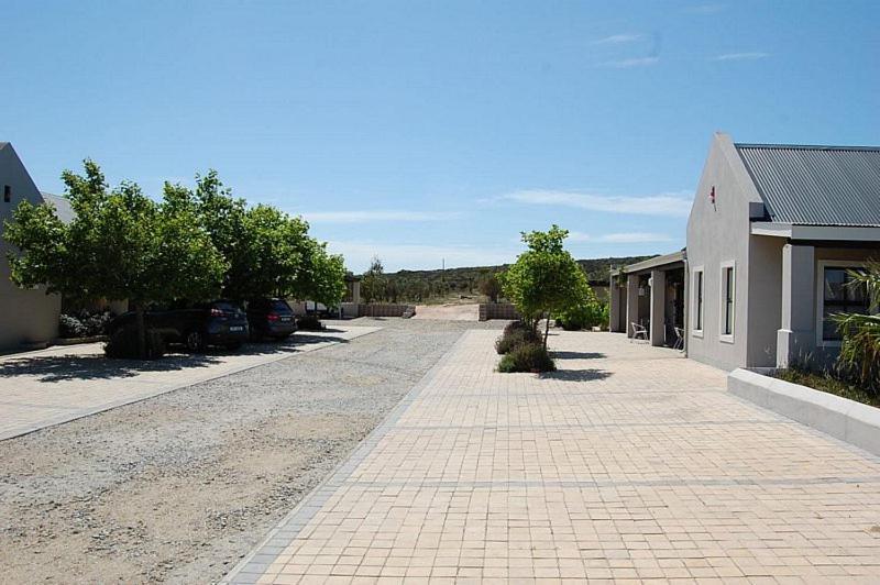 בית הארחה לאנגבאן 	Longacre Olive & Vineyard Estate מראה חיצוני תמונה